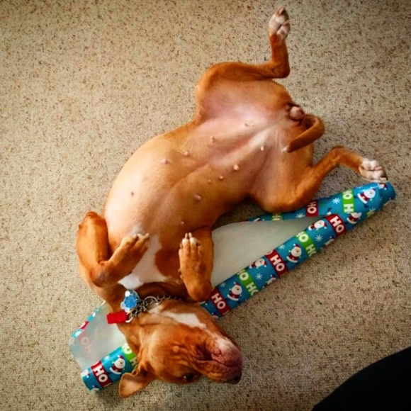 Welcome to my closet! ! - Picture 11 of 11